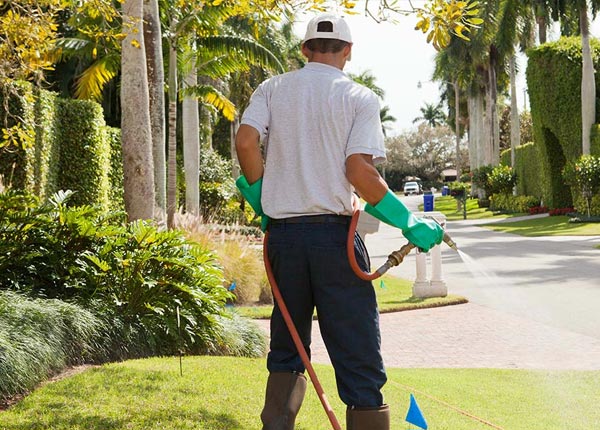 About Moneta VA Pest Control